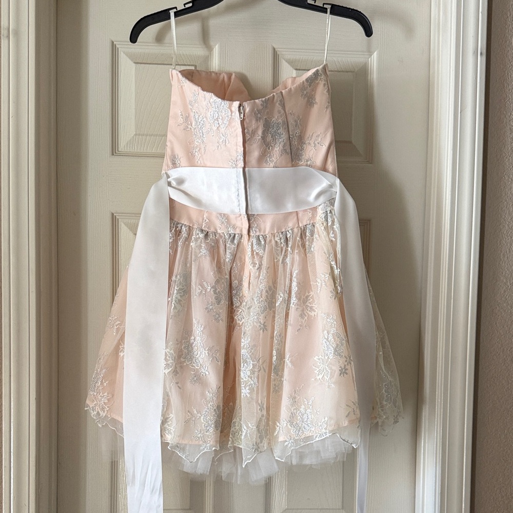 Jessica McClintock Blush Pink and Silver Embroidered Tulle Mini Dress - Picture 3 of 5